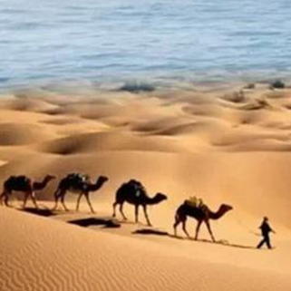 ��һ��һ·��·���D��ʽ����2000����ǰ�����W������ڄ��¸ҵ�������̽�������l�B�Ӂ��W�ǎ״��������Q�׺����Ľ���ͨ· 