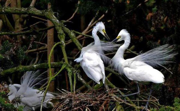 �ϲ���ɽ�����B����������������