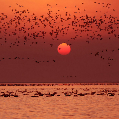 ����۶ꖺ�ǧ���ԁ���һ�l��������3�³�������ʡ�l��ί���_����������Y��������PPP���ƽ��Ŀ���l����