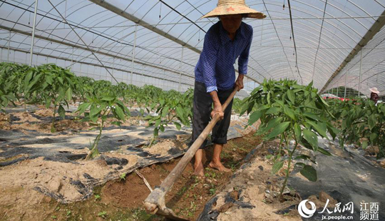 ݔѪ��Ѫ���� ��ؚ�����d�������M�Еr