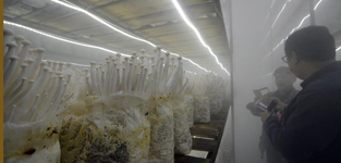 Ģ���L���ɾ��� �r�֏U����Ը�ե�M����W�~��11��20��늣��غ��� �r�꣩���~�ĵ�Ģ�����L���ɾ������óԵ�����Ԓ����11��20������ȫ���W�jý�w�˴����~�Ŀh�С����L�Fһ�Ё����~�Ęsͨ�r�I�lչ���޹�˾���L�����F���@�������ɾ���һ���ź��r�����[���F�����پWýӛ�߰l���п�����Ԕ����