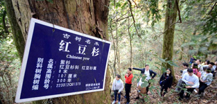 �~�Ĳ�ɽ�ֈ���Ƭ���ǹŘ�Ⱥ������W�~��11��21��늣��غ��� �r�꣩���~���ǡ��Ї��Ϸ��t��ɼ֮�l�������~�ĵļt��ɼ��Ҫ�ͷֲ����҂��@������11��20����������ȫ���W�jý�w�˴����~�Ŀh�С����L�Fһ�Ё����~�Ŀh��ɽ�ֈ������ǹŘ�Ⱥ�������@Ƭï�ܵġ�ԭʼɭ�֡���Ԕ����