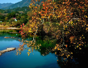 �ߺ�ɽ���ﾰ