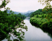 ��צ������ɭ�ֹ��@