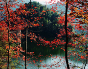 ��Դ�l��ɫ