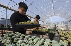 aID                ƽaIDȥʡfί@ʩӰlչƄӮaID