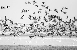 Ї"Ӱ"                ҪЇIϲľ޴׃ԸܵĝMM