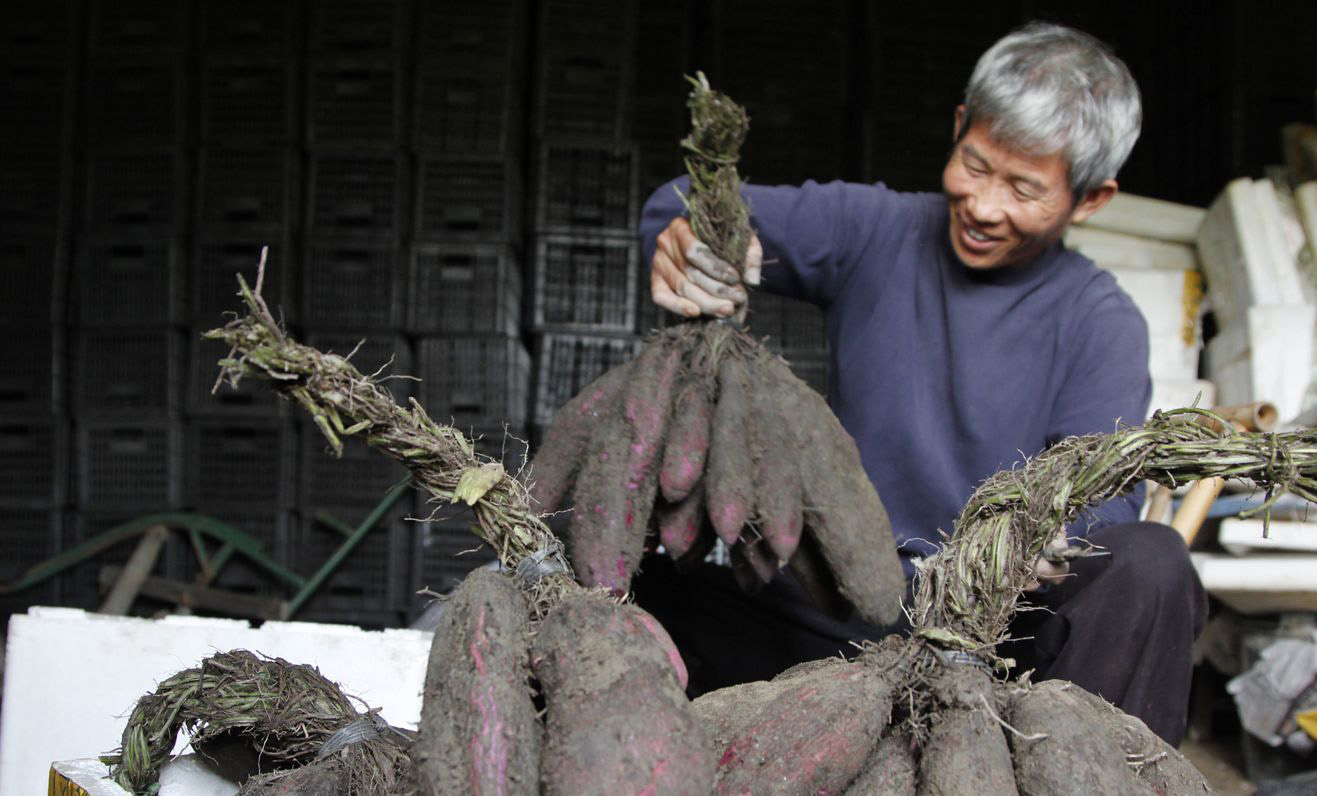 ���������������� �M�ϴ��f�����ɫ���㡱 ��ǰ�����l����������ҵ�ӡ�����������B������ٍ�X���������I������T���ȵȡ��F�����S�����A�Oʩ��u���������W�M��������M���l���ڲ��G���B���ݵ�ͬ�r���lչ����I����̵ȡ�����Ԕ���� 