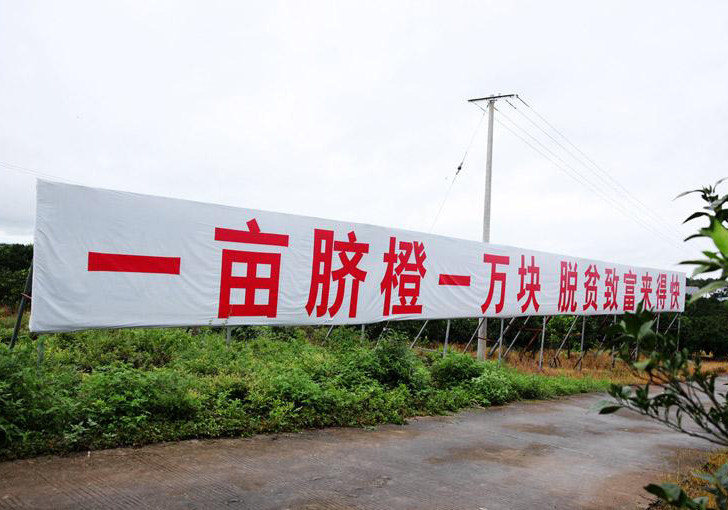 ������S���l���f���o����Ě�Ȼ���