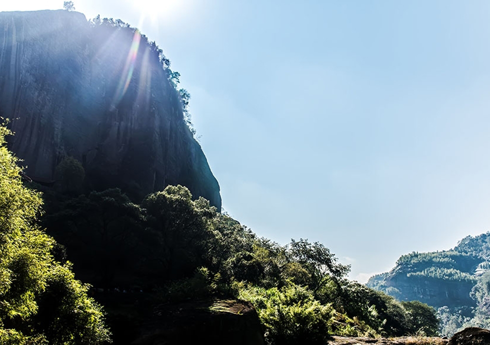 ����ɽ���η��ƺ����^���g���R