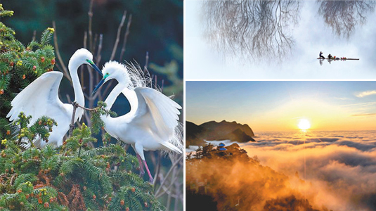 �M۶�L��e����