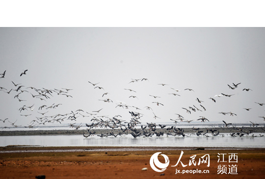     �������Gɫ������������ ���B���ݏ�ʡ�������ս������������κ�һ���r�ڶ�������ҕ�����B�ı��o��������ҕ�����G��������׷����  2016��2��������ƽ����ӛҕ�콭���r���{���Gɫ���B�ǽ������ؔ������󃞄������Ʒ����һ��Ҫ���o����������ɽ��ˮ���@ɽ¶ˮ���������߳�һ�l�����lչ�����B����ˮƽ������o�����������õ�·�������������Ї��������Ӱ塱����Ԕ�����������˴��r�I�򡰾G���D�� �@�����L�Gɫ�aƷ�����B۶ꖺ� ��������w�����B�z�� ���o��ɽ�Gˮ������ �������Ї����I����