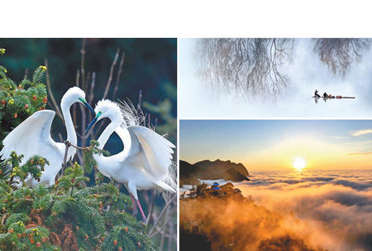     ¹���磺���ľ������O��ԣ�����Ҹ������h��ʮ�˴��ԁ�������ƽ����ӛ���R��˼���x���μҵ��hҊ׿�R�����@�ĸ�lչ�����������⽻���������h�·���܊�l����һϵ����Ҫ�vԒ���γ����·�������������˼���������_�����Ї���ɫ������x�¾��硾Ԕ�������Ƅ��d�M����ȡ���³ɾ�    �����x    �����ɽ����������������325�f����Óؚ����    ������ɽ��ȫ�����ȡ�ժؚñ���������ĸ�´���ӛ    ���o���w�C��"������"    ����С�֙C��"������"�����B�����ǡ���ġ�     ����ɳ��׃��ӛ    ������ڰ��ᵽ�M���υ^�����pؓ�ٗl������Iж����    ����С���ܸ��������Ƈ���Ŕ���200�f�h�T���S�ڼt����  ���а�Ӿ��ǲ�һ��  ���ɲ�"���~"����ɶ