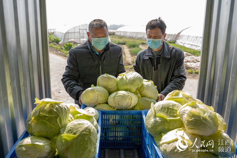 �߲˻��ء��ơ����� ���Ͼ��񡰲˻@�ӡ� �w����/�z 