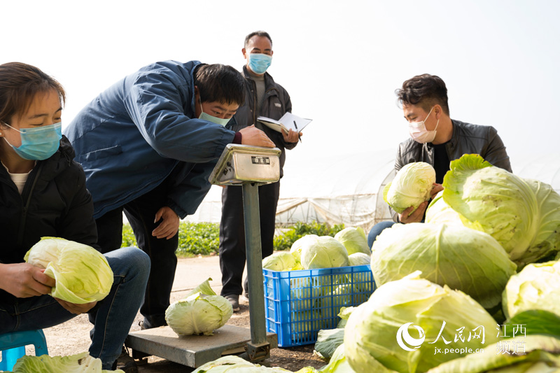 �߲˻��ء��ơ����� ���Ͼ��񡰲˻@�ӡ� �w����/�z 