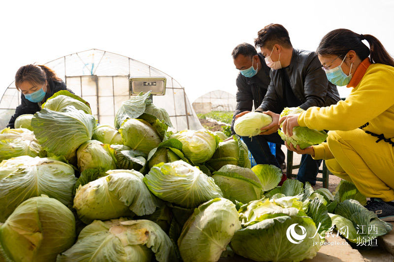 �߲˻��ء��ơ����� ���Ͼ��񡰲˻@�ӡ� �w����/�z 