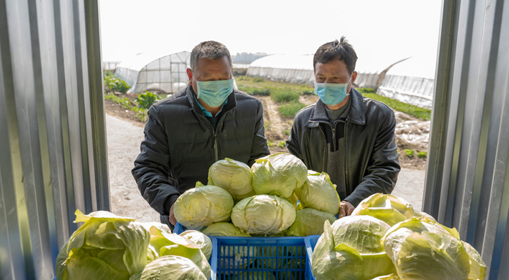 �������ࣺ�߲˻��ؾW�j�ӆ� ���Ͼ��񡰲˻@�ӡ�