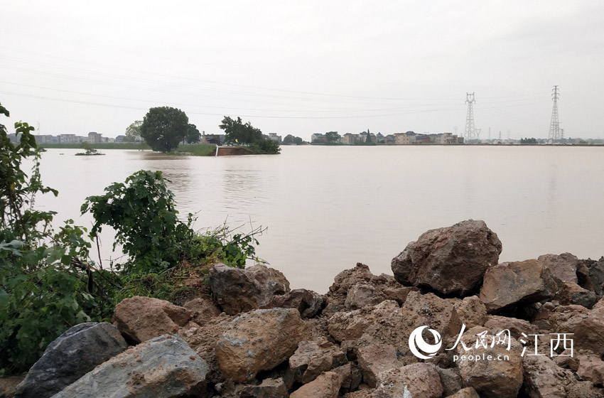 �Q�ڬF������ӭ�A/�z��