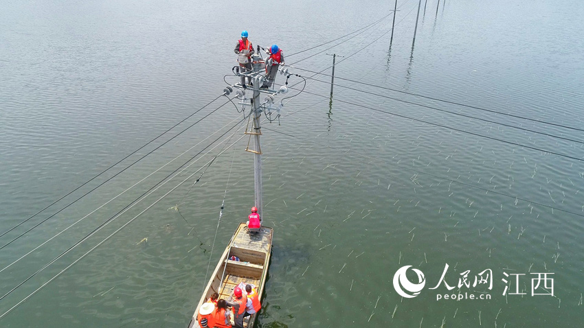 ��늲��T���ړ���������ܞ� �z��