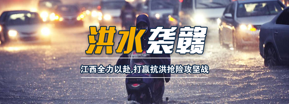 2020�����M�돊�����l��