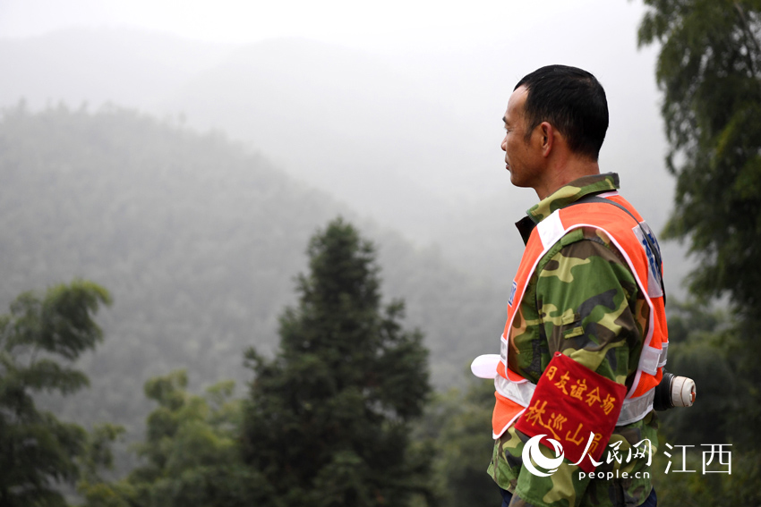 ĺ300׵800׵fɽīѲoķW r z