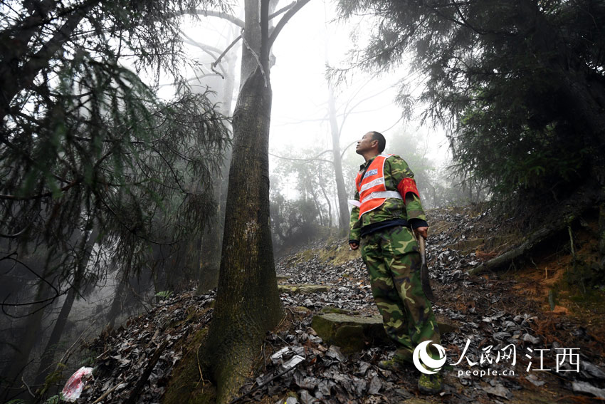 27gСLɅī錦ѲoĘľMW r z