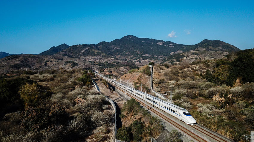 һ�и��F��܇�Ĳ�����������̩��һƬʢ�_����仨������^������� �z