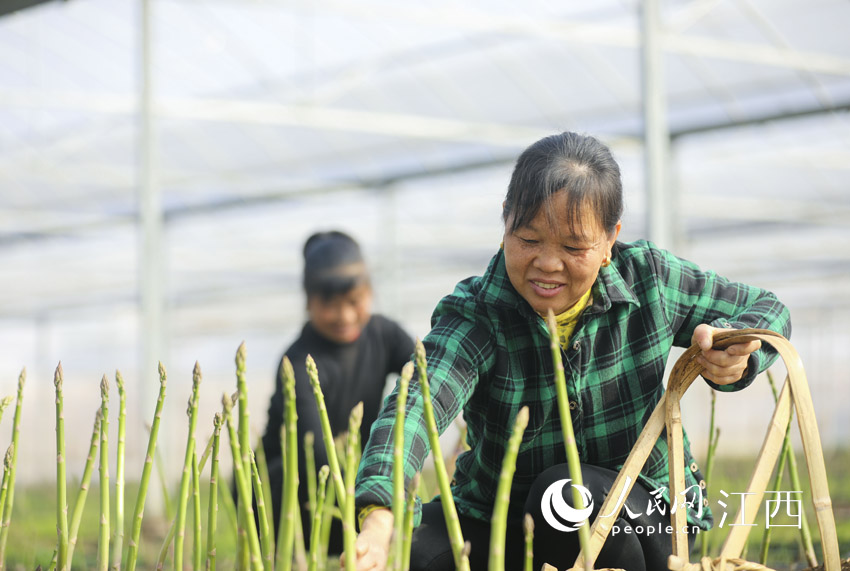 �r�����ڲ�ժ�J�S ��܊ �z