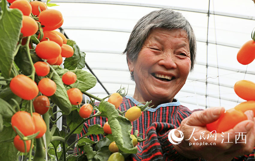 �r�����ڲ�ժ���t�� ��܊ �z