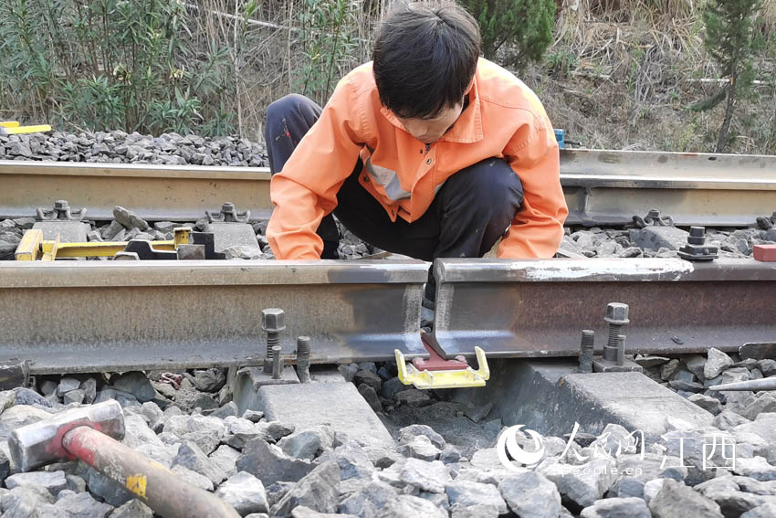 �ʂ亸���܉��������  �z