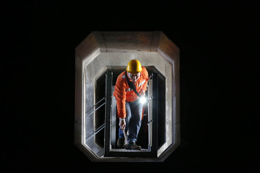 �������M�����w�����M��Ѳ�z������ �z