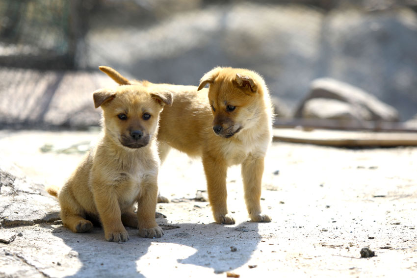 ܇վ�ă��^����Ȯ�������w �z