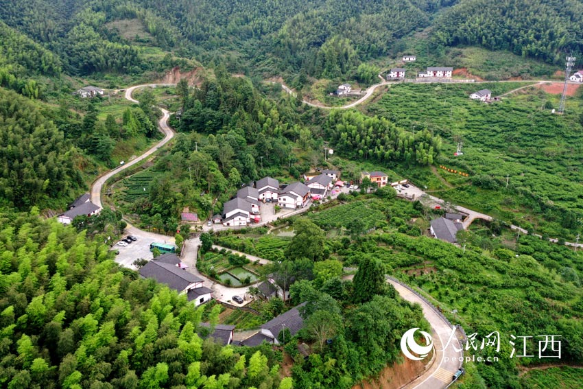 �����R�^�µ���ɽ����������W �r��z��