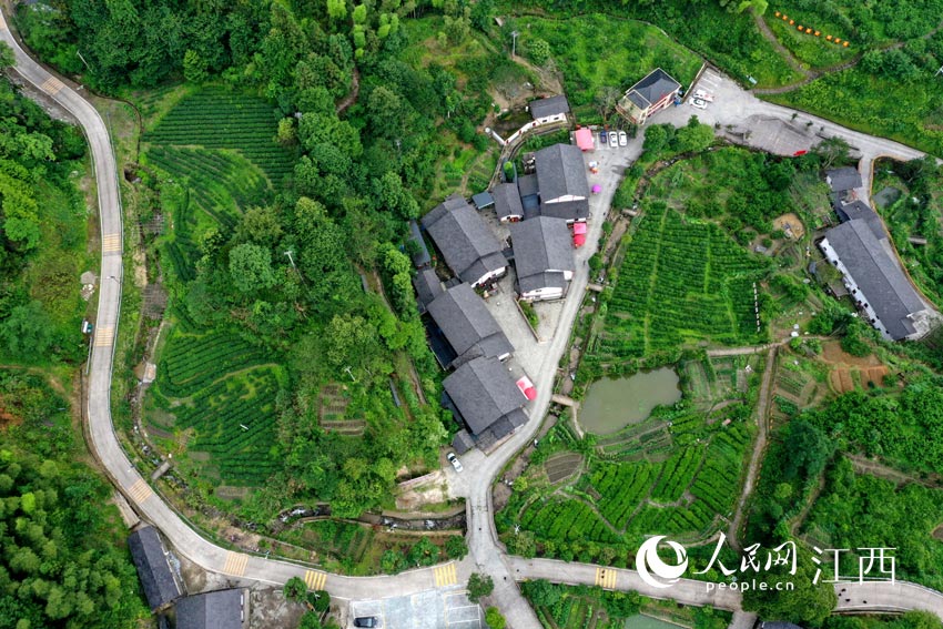 �����R�^�µ���ɽ����������W �r��z��