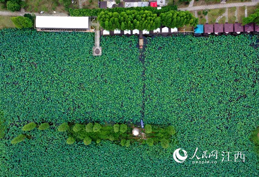 �ϲ������ع��@��ĺ���������W �r��z��