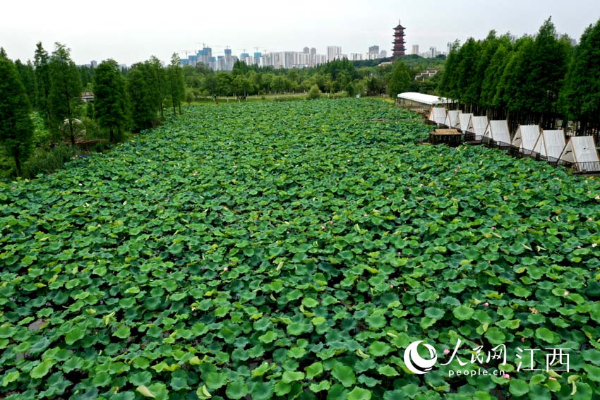 �ϲ������ع��@��ĺ���������W �r��z��