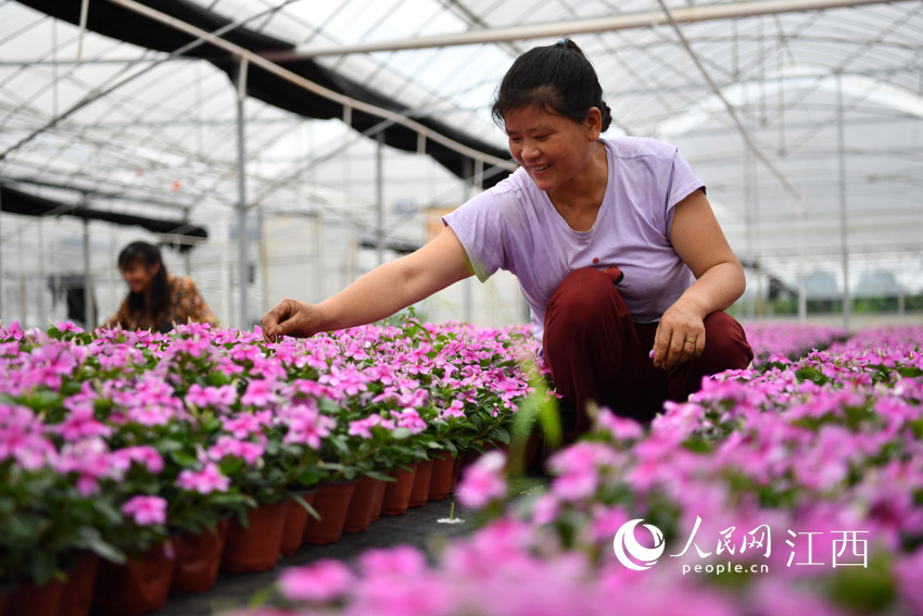 �ڻ��ܻ��ؾ͘I�Ĵ������ڳ��s��������������������W �r��z��