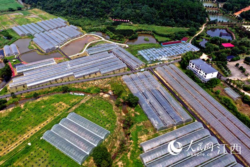 ϲаxhlϪһ̎ѽĤ߲˴W rz