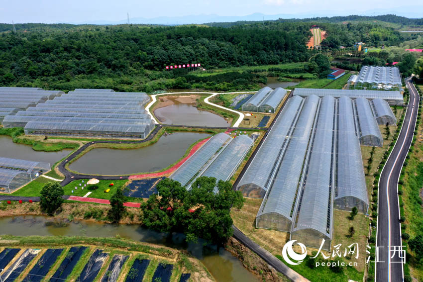 �ϲ��а��x�h�����l��Ϫ��һ̎�ѽ���Ĥ���߲˴������W �r��z��