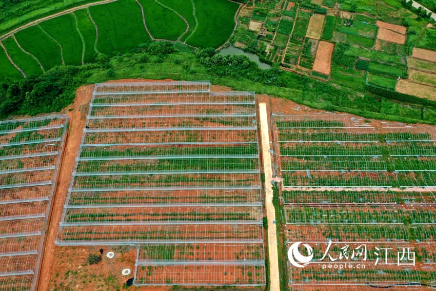 ���и��һ���Ŵ��� ������W �r��z��