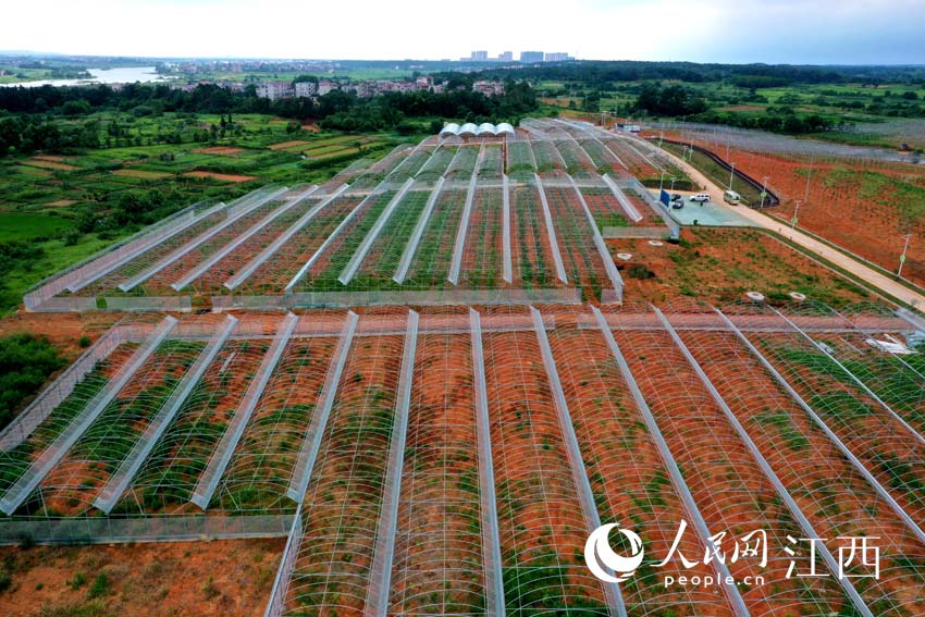 ���и��һ���Ŵ��� ������W �r��z��