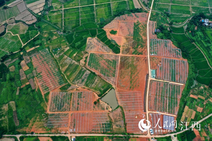 ���и��һ���Ŵ��� ������W �r��z��