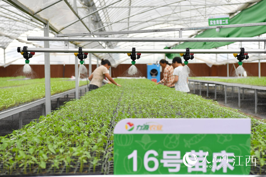 ԄӻOڽo瞢ˮW rz