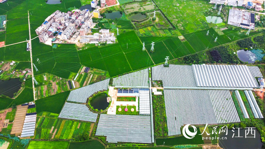 ����������ѷNֲ�������C��Ȼ�����n���� �z��