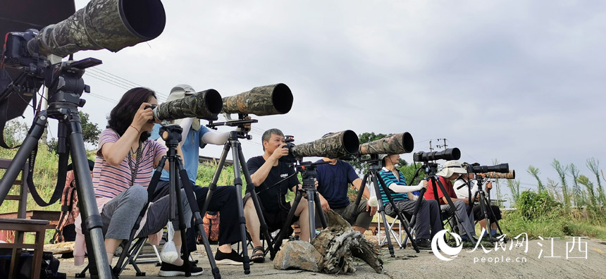 攝影愛好者聚集在贛江邊拍攝江豚(章斌 攝)