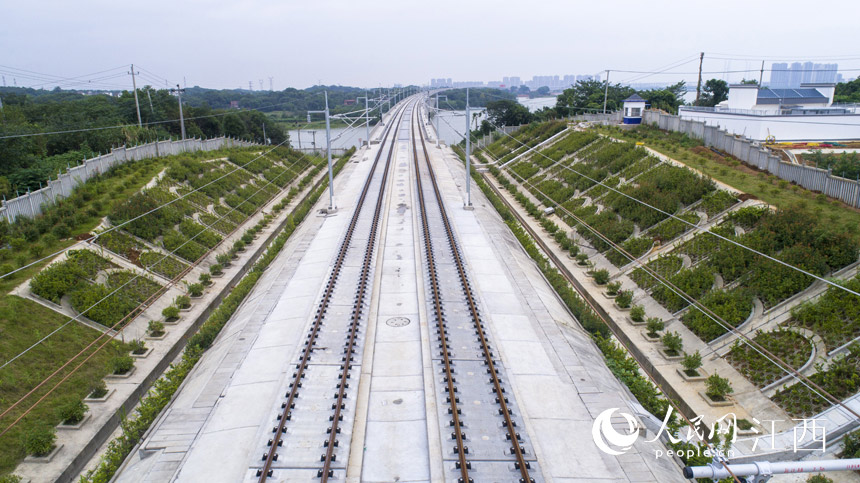 ���Ÿ��F�܉����؞ͨ�������� �z ��