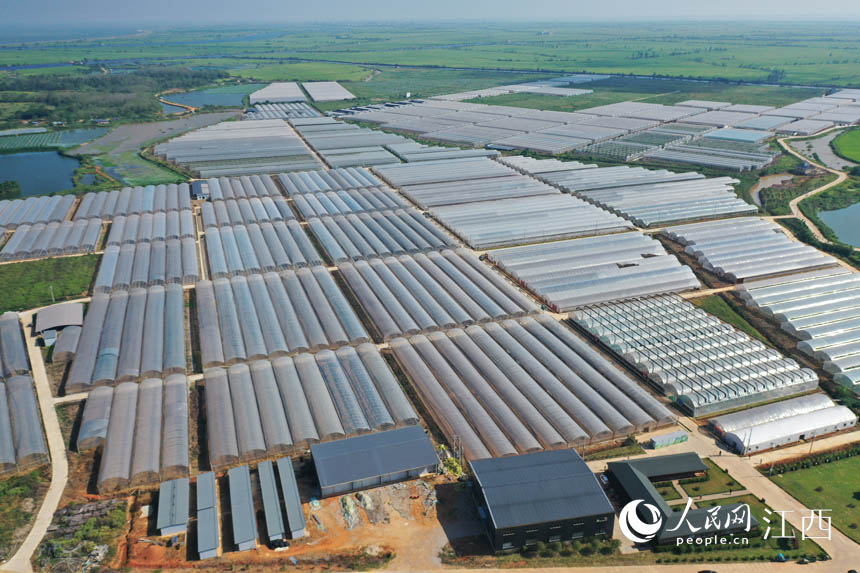 �����R�^�µ���ɿh�����߲˷Nֲ�������n�����z