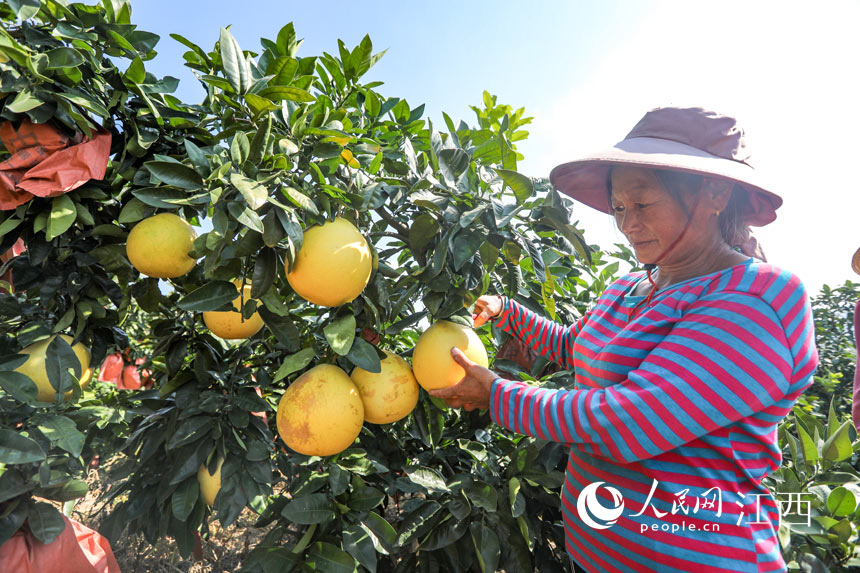 ���r��æ����ժ����ľ������������ܔz