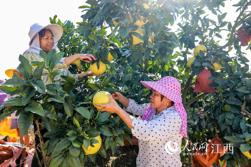 ���r��æ����ժ����ľ������������ܔz