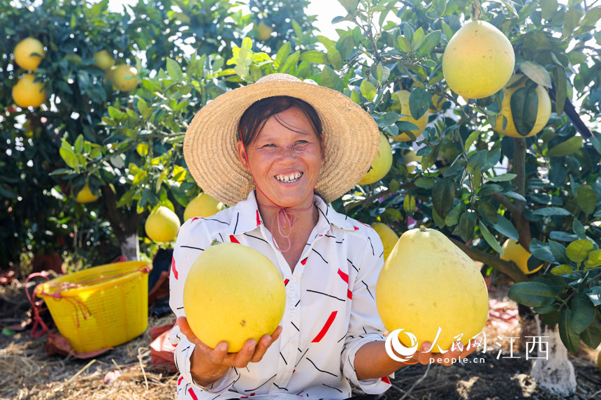 ���r��æ����ժ����ľ������������ܔz